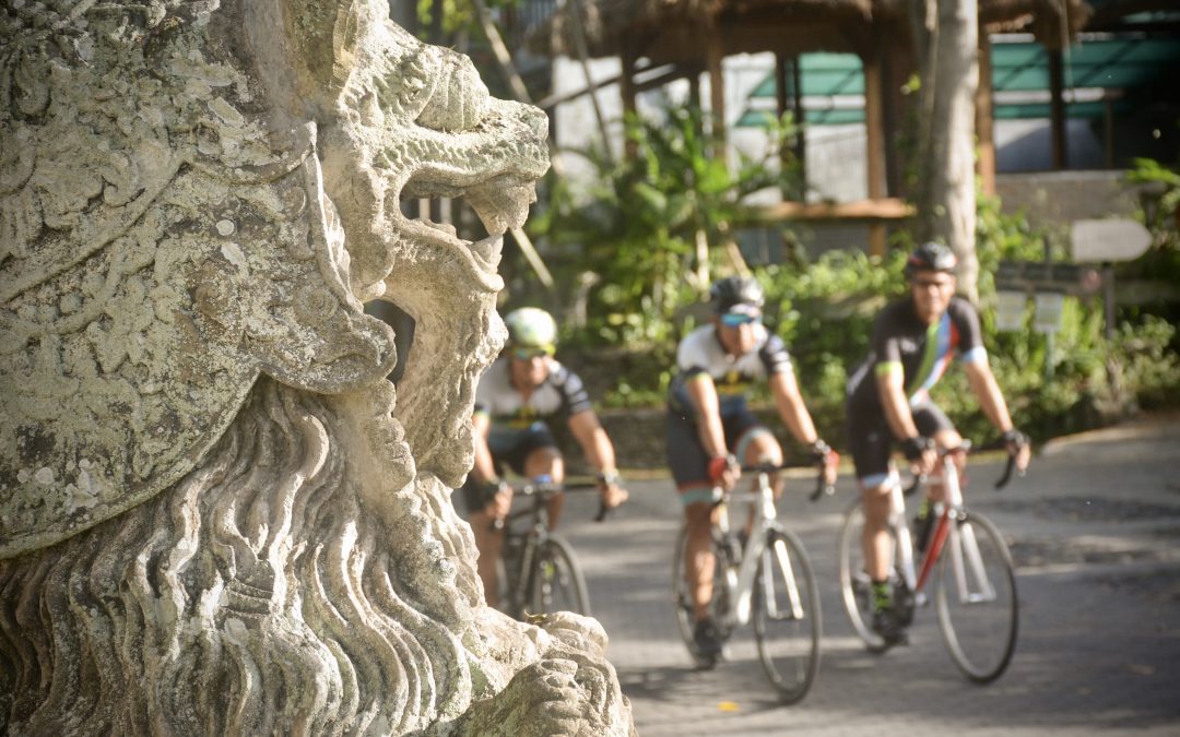 Enjoy Ubud-Bali on a bike tour